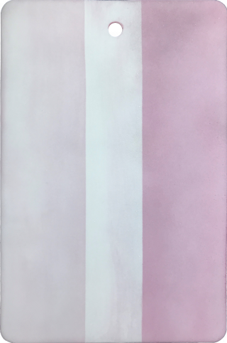 PFINDER 73 ProLight 的辐射表面