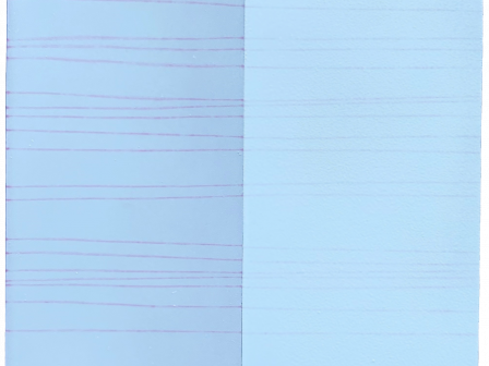 PFINDER 73 ProLight - 大面积均匀照明